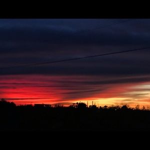 Meet your Posher, Izzie